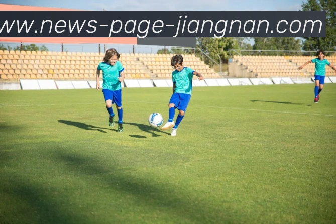 江南体育平台生态图